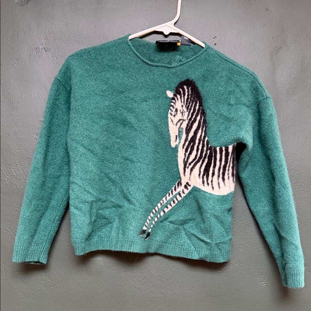 Anthropologie Teal Sweater with Zebra Design